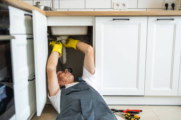 Best Shower Repair Services  in Naples, UT
