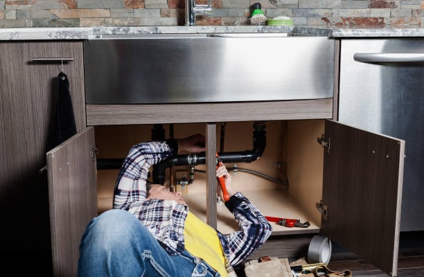 Best Commercial Plumbing Services  in Naples, UT
