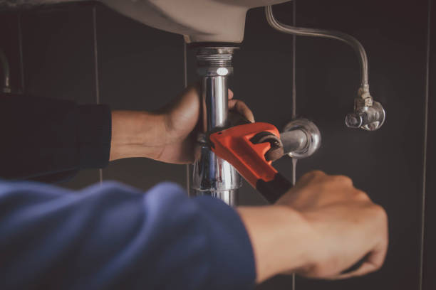 Best Plumbing Services Near Me  in Naples, UT